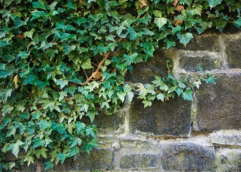 How event businesses can master scope creep