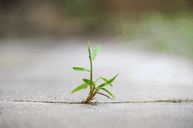 How to build a resilient event business in a shifting economy