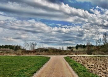 Making Decisions Less Painful – MetaDevo