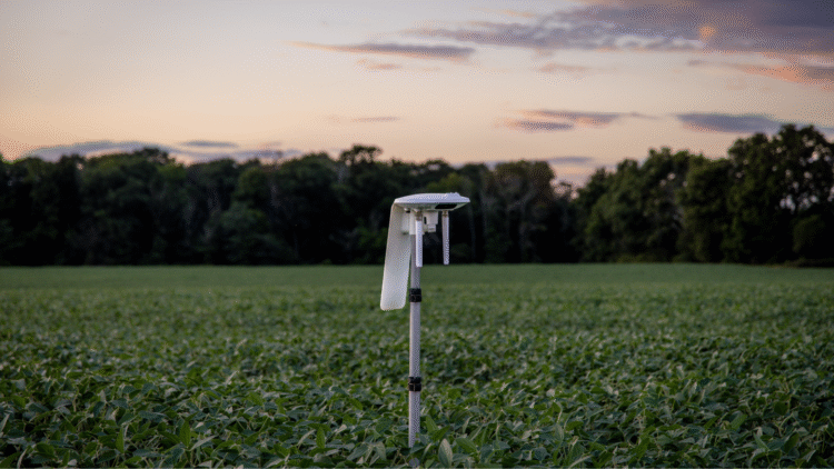 Google partners on watershed health in North and South Carolina
