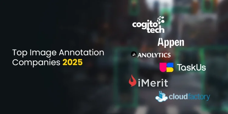 Top Image Annotation Companies 2025