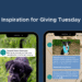 Text Messages Examples from SMS Fundraising to Inspire Your Giving Tuesday Campaign