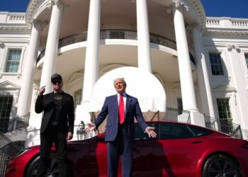 Trump and Musk’s split reflects a nation that’s divided on clean energy