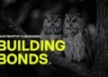 Building bonds: Trust in fundraising