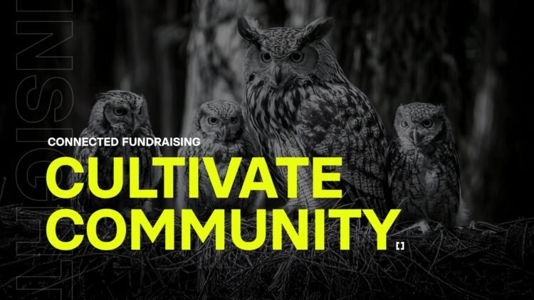 Cultivate community: Connection in fundraising