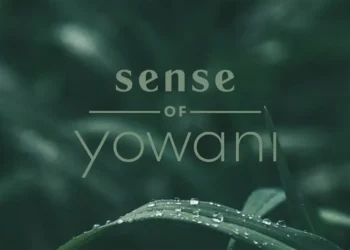 Truly Deeply Creates Sense Retirement Group and Place Brands – Truly Deeply – Brand Strategy & Creative Agency Melbourne