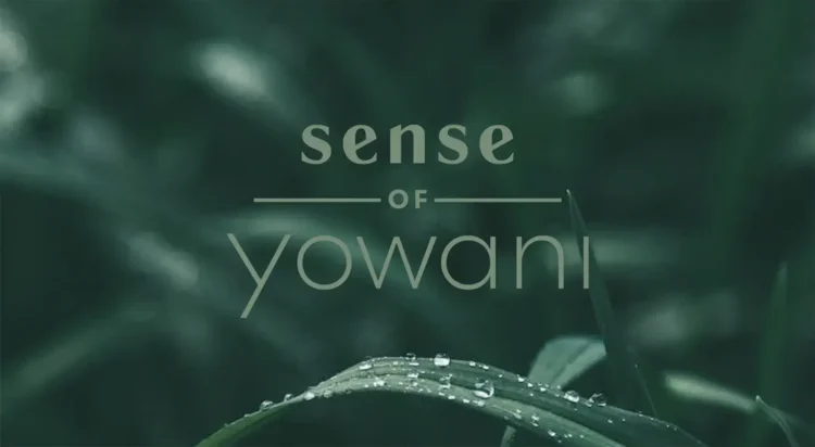 Truly Deeply Creates Sense Retirement Group and Place Brands – Truly Deeply – Brand Strategy & Creative Agency Melbourne