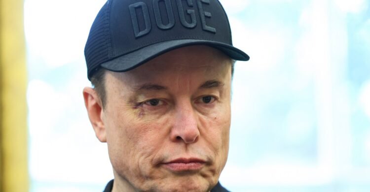 Elon Musk departs DOGE: What is the legacy of DOGE now?
