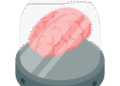 Steal a Brainrot Script (No Key, Auto Lock, Collect Cash)