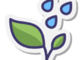 Tropical Rain Weather Event in Grow a Garden