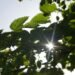 Why Sustainability Transparency Matters for Brands – Truly Deeply – Brand Strategy & Creative Agency Melbourne