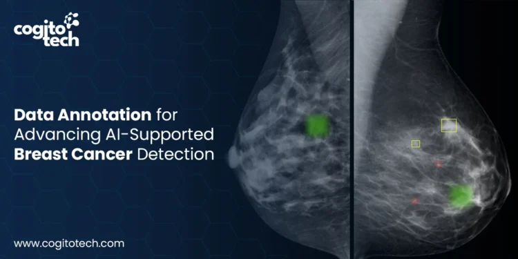 Mammogram Data Annotation for AI-Driven Breast Cancer Detection