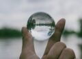 Balancing Transparency And Legal Risks: A Strategic Approach