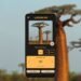 Explore the world around you in 30 endangered languages with Google AI
