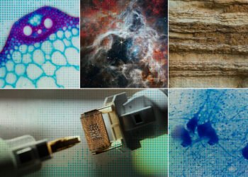 Accelerating scientific discovery with AI | MIT News