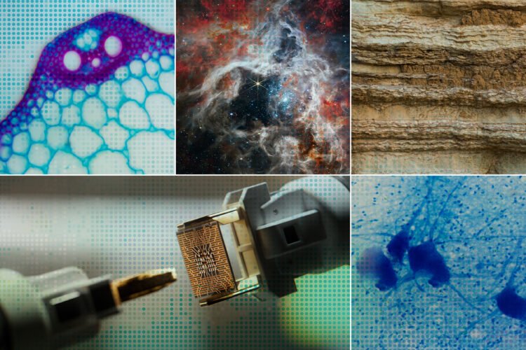 Accelerating scientific discovery with AI | MIT News