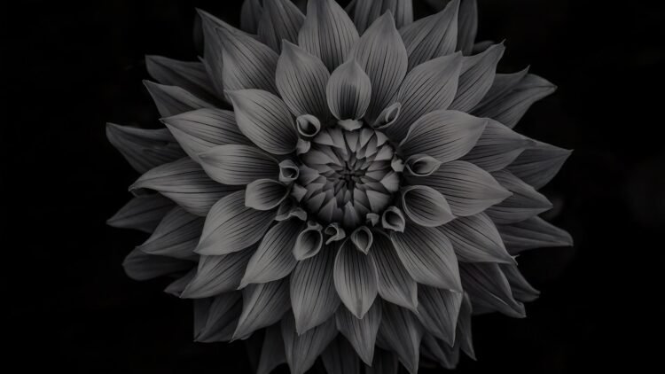 Want your next fundraising campaign to really stand out?