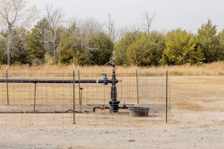 Microsoft is buying tons of carbon removal from Xprize startup Vaulted Deep