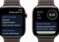 Google Calendar is now on the Apple Watch