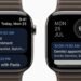 Google Calendar is now on the Apple Watch