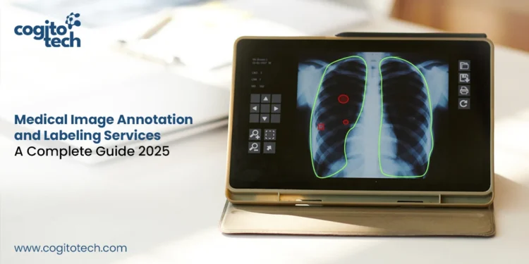 Medical Image Annotation and Labeling Services Guide 2025