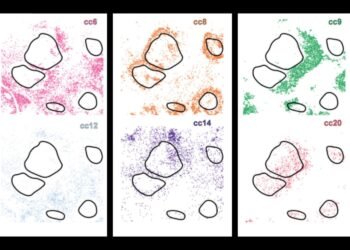 New AI system uncovers hidden cell subtypes, boosts precision medicine | MIT News