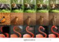 A new way to edit or generate images | MIT News