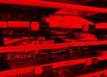 A Group of Young Cybercriminals Poses the ‘Most Imminent Threat’ of Cyberattacks Right Now