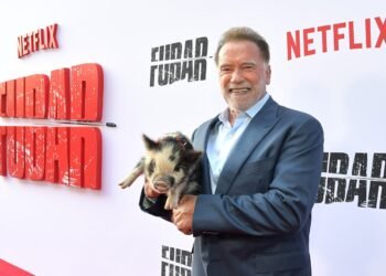 Four Reasons Netflix’s ‘FUBAR’ Premiere Event was a Hit
