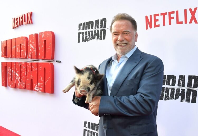 Four Reasons Netflix’s ‘FUBAR’ Premiere Event was a Hit
