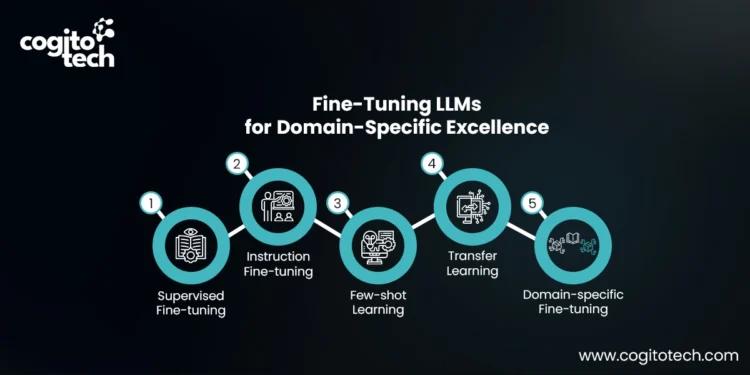 Fine-Tuning LLMs for Domain Specific Excellence