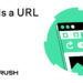 What Is a URL? Structure, Types, and Best Practices
