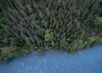 Making conservation part of the conversation