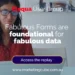 Fabulous Forms are foundational for fabulous data | Marketing Cube