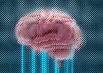 Brand Marketing And The Divided Brain