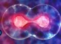 Voice Cloning Refined, Ethically Guarded