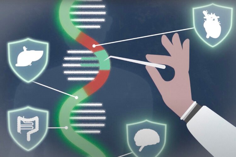 How AI could speed the development of RNA vaccines and other RNA therapies | MIT News