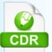 8 Methods to Recover CDR Corrupted Files