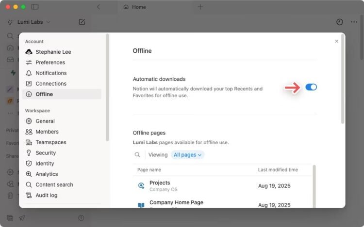 Finally, Notion now works without an internet connection