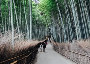 Building a Seq2Seq Model with Attention for Language Translation