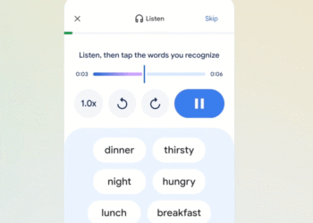 Google is building a Duolingo rival into the Translate app