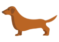 Grow a Garden Hotdog Daschund Pet Wiki