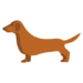 Grow a Garden Hotdog Daschund Pet Wiki
