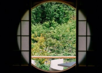 Building a Decoder-Only Transformer Model Like Llama-2 and Llama-3