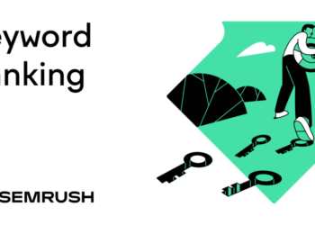 What They Are & How to Check Yours