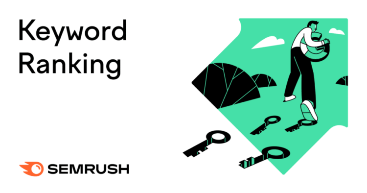 What They Are & How to Check Yours