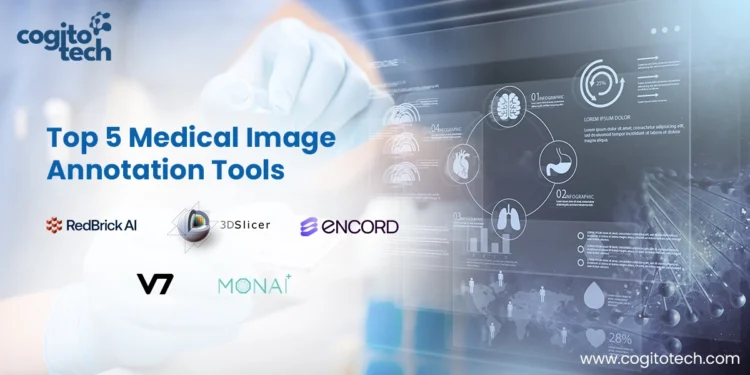 Top 5 Medical Image Annotation Tools