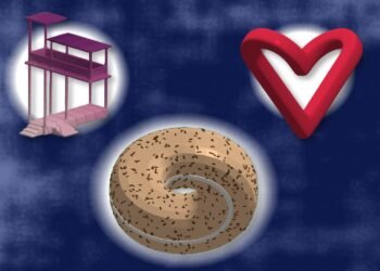 MIT tool visualizes and edits “physically impossible” objects | MIT News