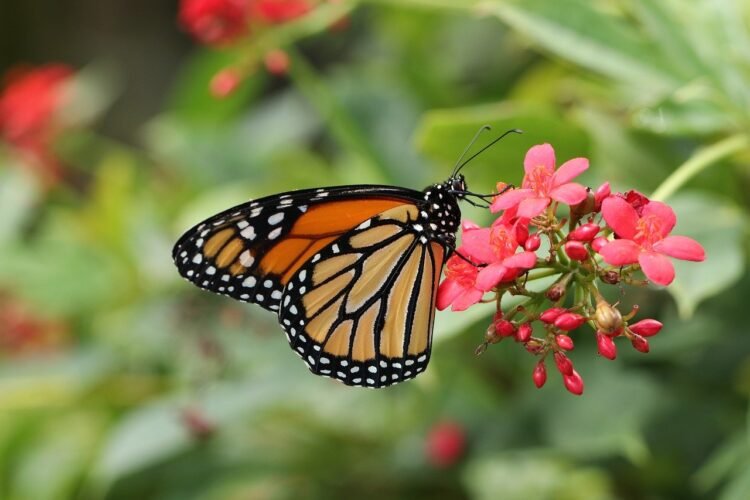 Resonates celebrates as Hannah is shortlisted for Women in Green Business awards