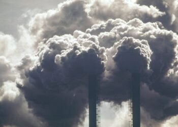 Trump’s Energy Department forbids staff from saying ‘climate change’ or ‘green’